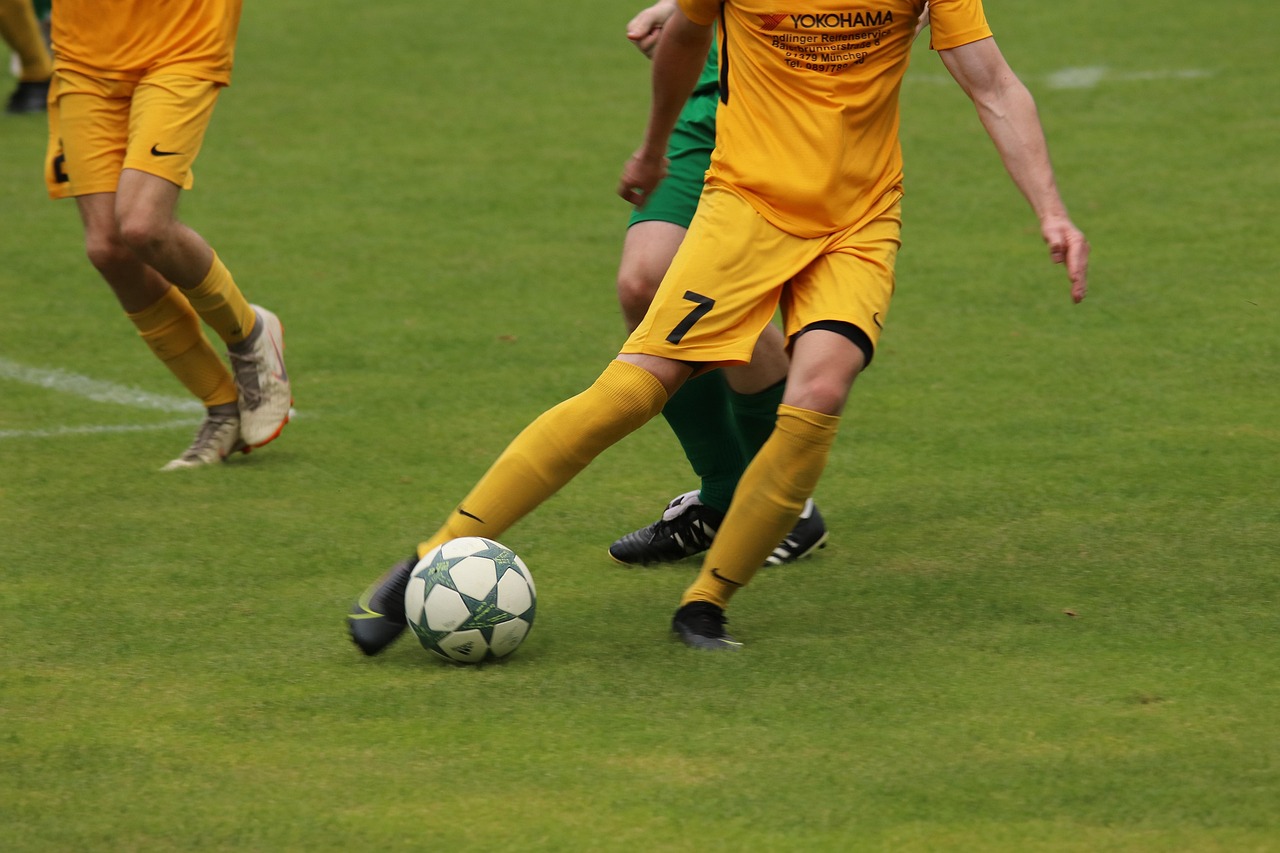 州作为东道 州作为东道